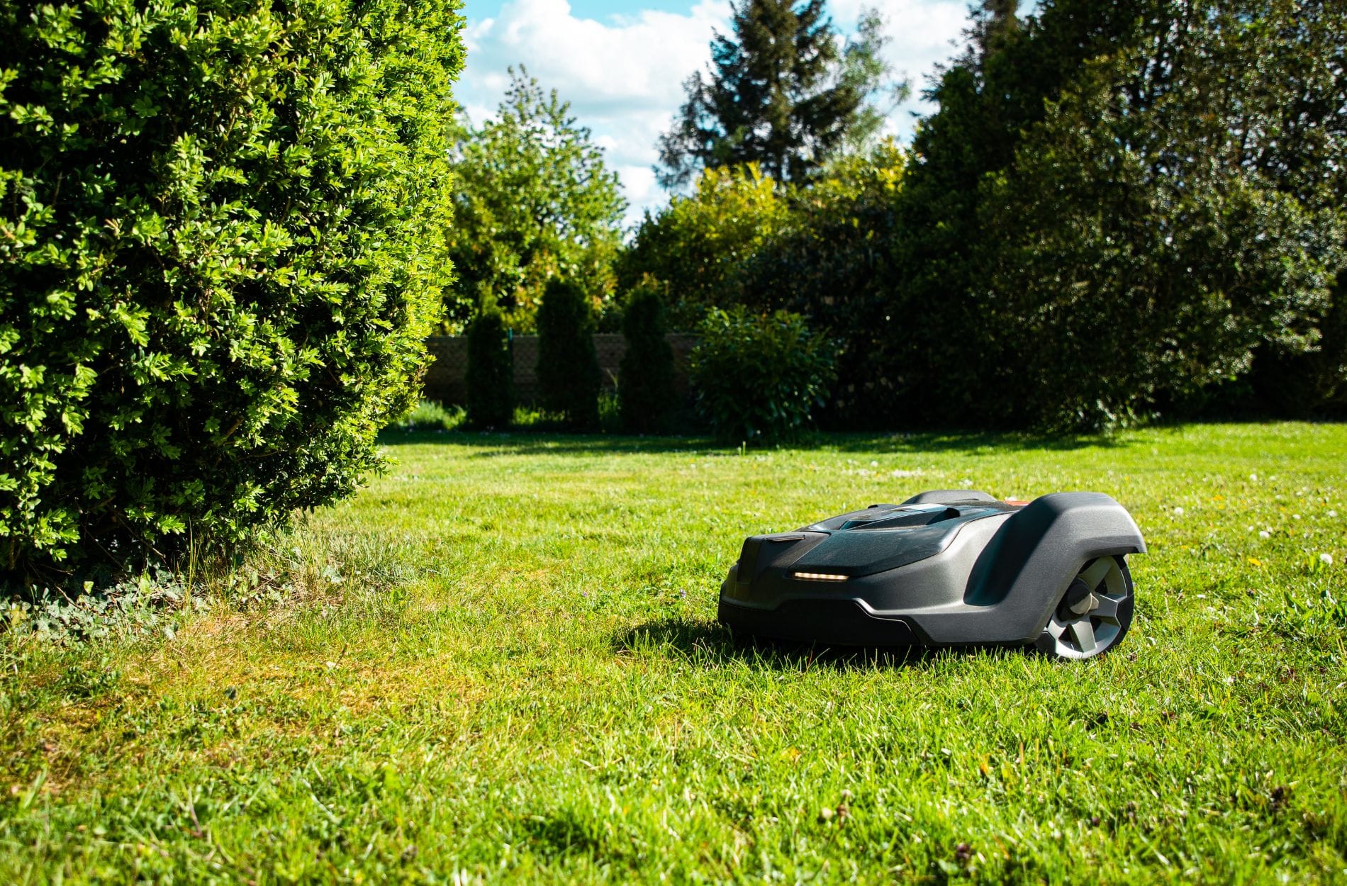 Robotic Mower