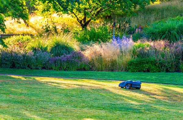 robot mower