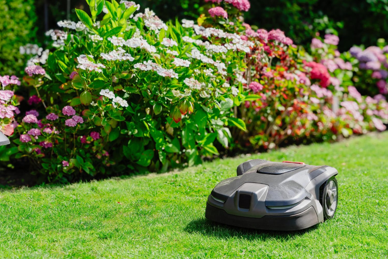 Automatic Lawn Mower