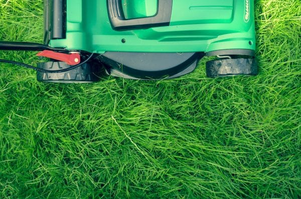 Automatic Lawn Cutters